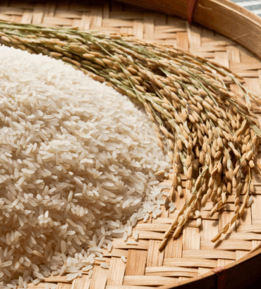 Cách Bảo Quản Gạo Đúng Cách Tại Nhà - Giữ Gạo Luôn Thơm Ngon, Không Mốc Mọt