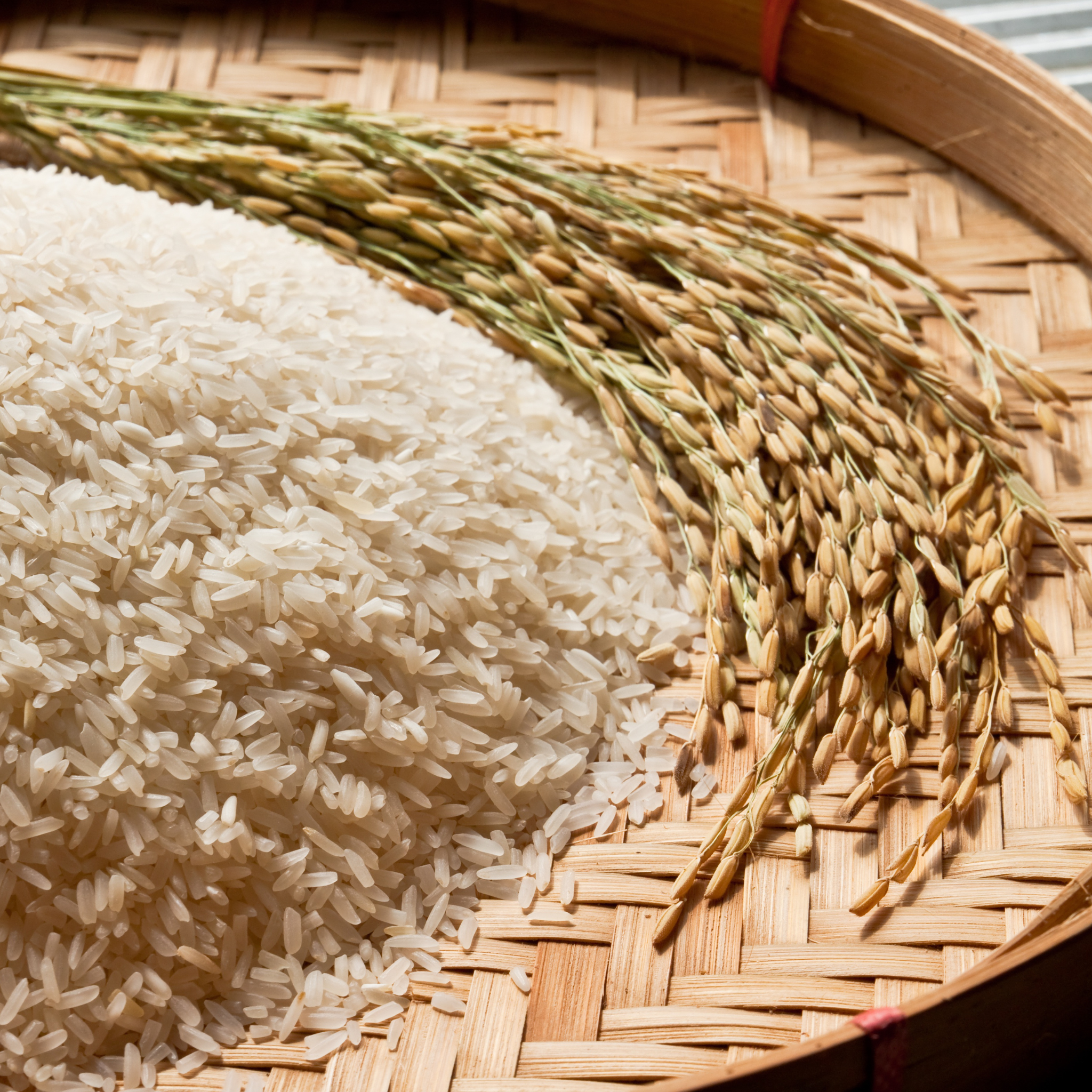 Cách Bảo Quản Gạo Đúng Cách Tại Nhà - Giữ Gạo Luôn Thơm Ngon, Không Mốc Mọt