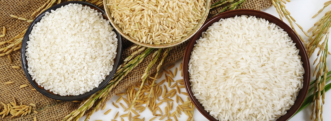 Người Lớn Tuổi Nên Ăn Loại Gạo Nào? – Chọn Gạo Đúng Để Khỏe Từ Bên Trong